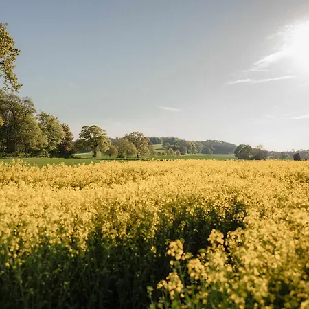 Host & - Corner House * Hovingham