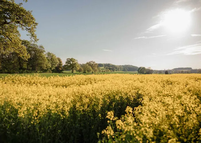 Host & - Corner House * Hovingham